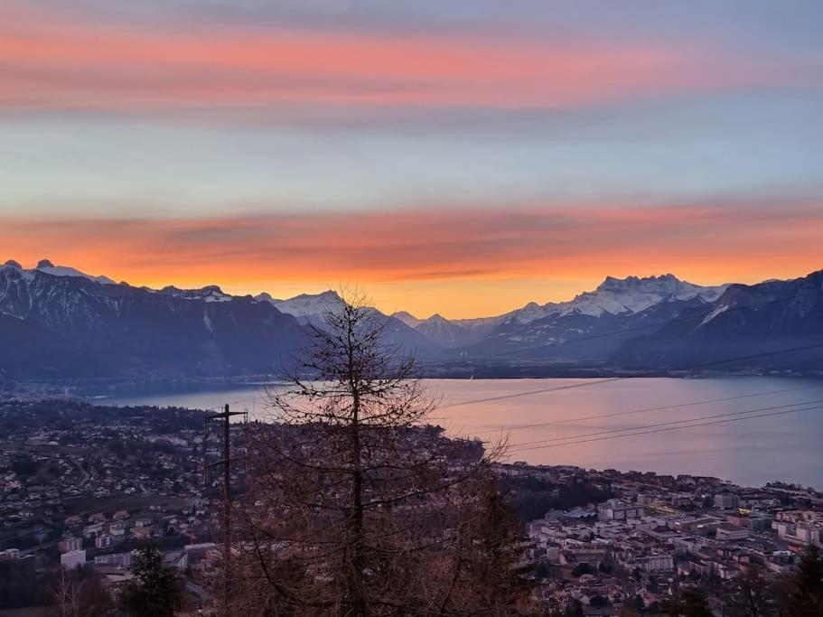 Le Toit De Chardonne - Entre Alpes Et Lac Leman Εξωτερικό φωτογραφία